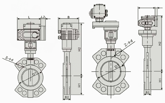 日本欧美久久久久免费播放网