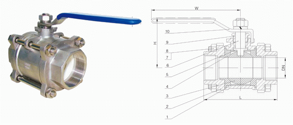 日本欧美久久久久免费播放网