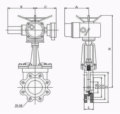 日本欧美久久久久免费播放网