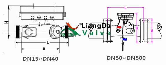 日本欧美久久久久免费播放网