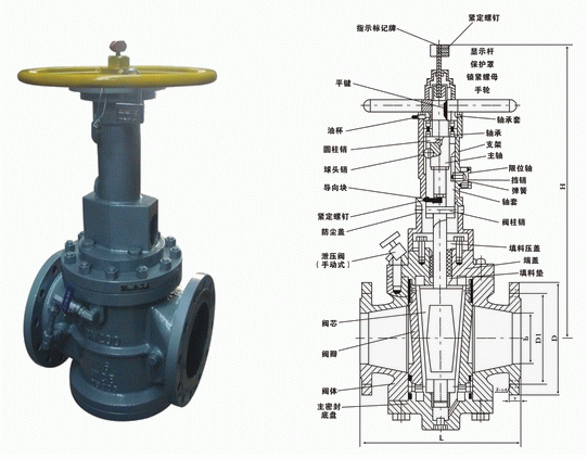 日本欧美久久久久免费播放网