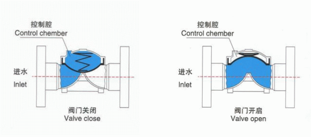 日本欧美久久久久免费播放网
