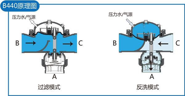 日本欧美久久久久免费播放网