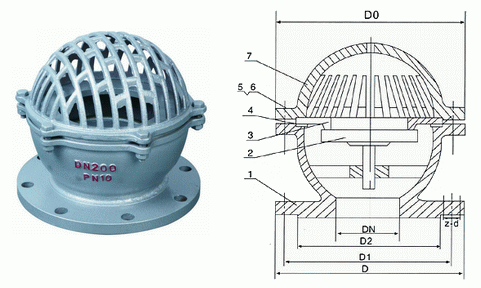 日本欧美久久久久免费播放网