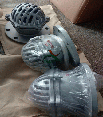 日本欧美久久久久免费播放网