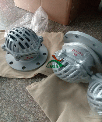 日本欧美久久久久免费播放网