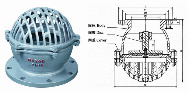 日本欧美久久久久免费播放网