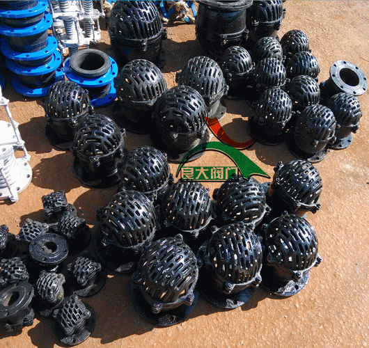 日本欧美久久久久免费播放网