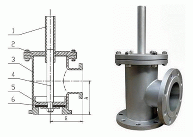 日本欧美久久久久免费播放网