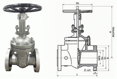 日本欧美久久久久免费播放网