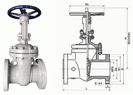 日本欧美久久久久免费播放网