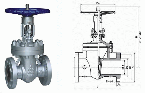 日本欧美久久久久免费播放网