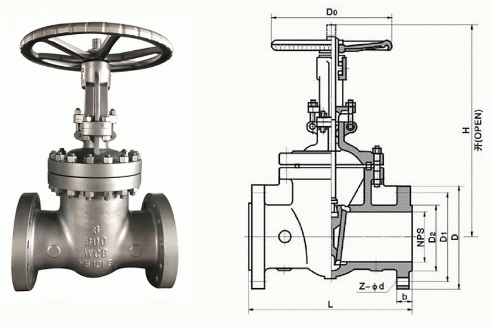 日本欧美久久久久免费播放网