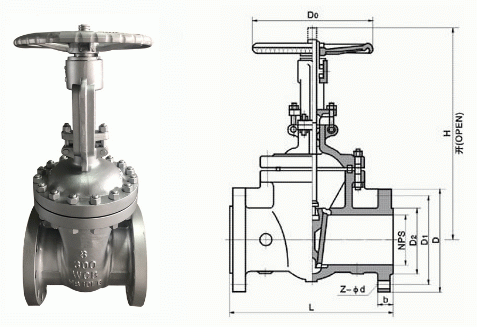 日本欧美久久久久免费播放网