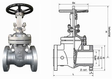 日本欧美久久久久免费播放网