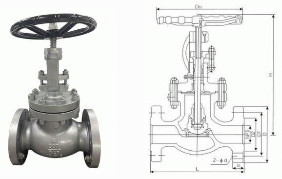 日本欧美久久久久免费播放网