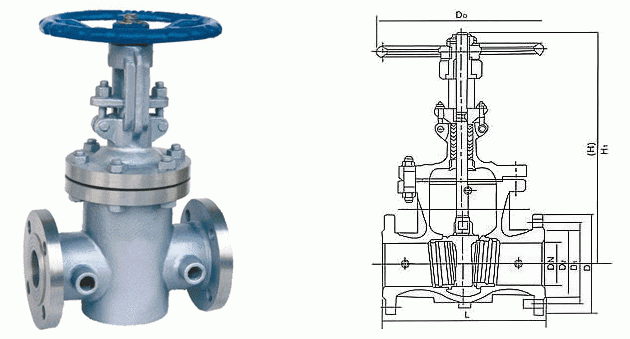 日本欧美久久久久免费播放网