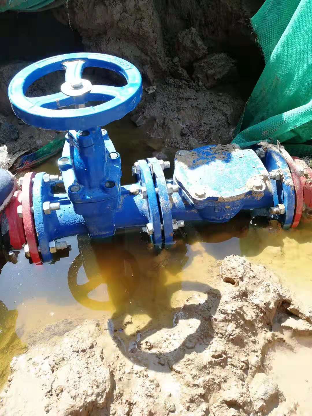 日本欧美久久久久免费播放网