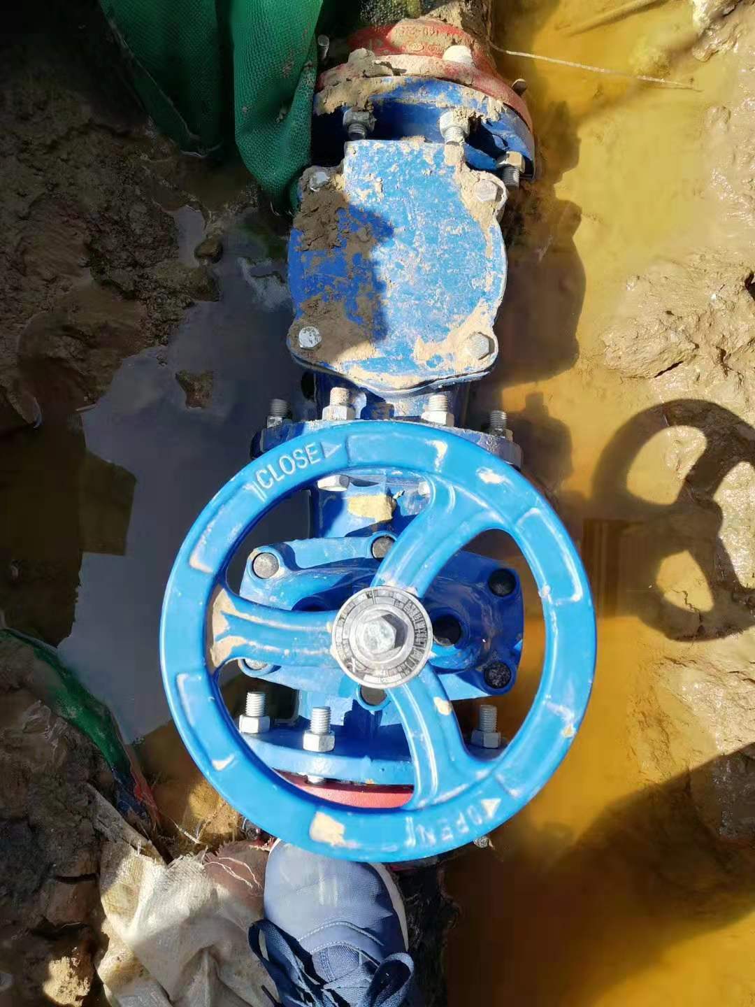 日本欧美久久久久免费播放网