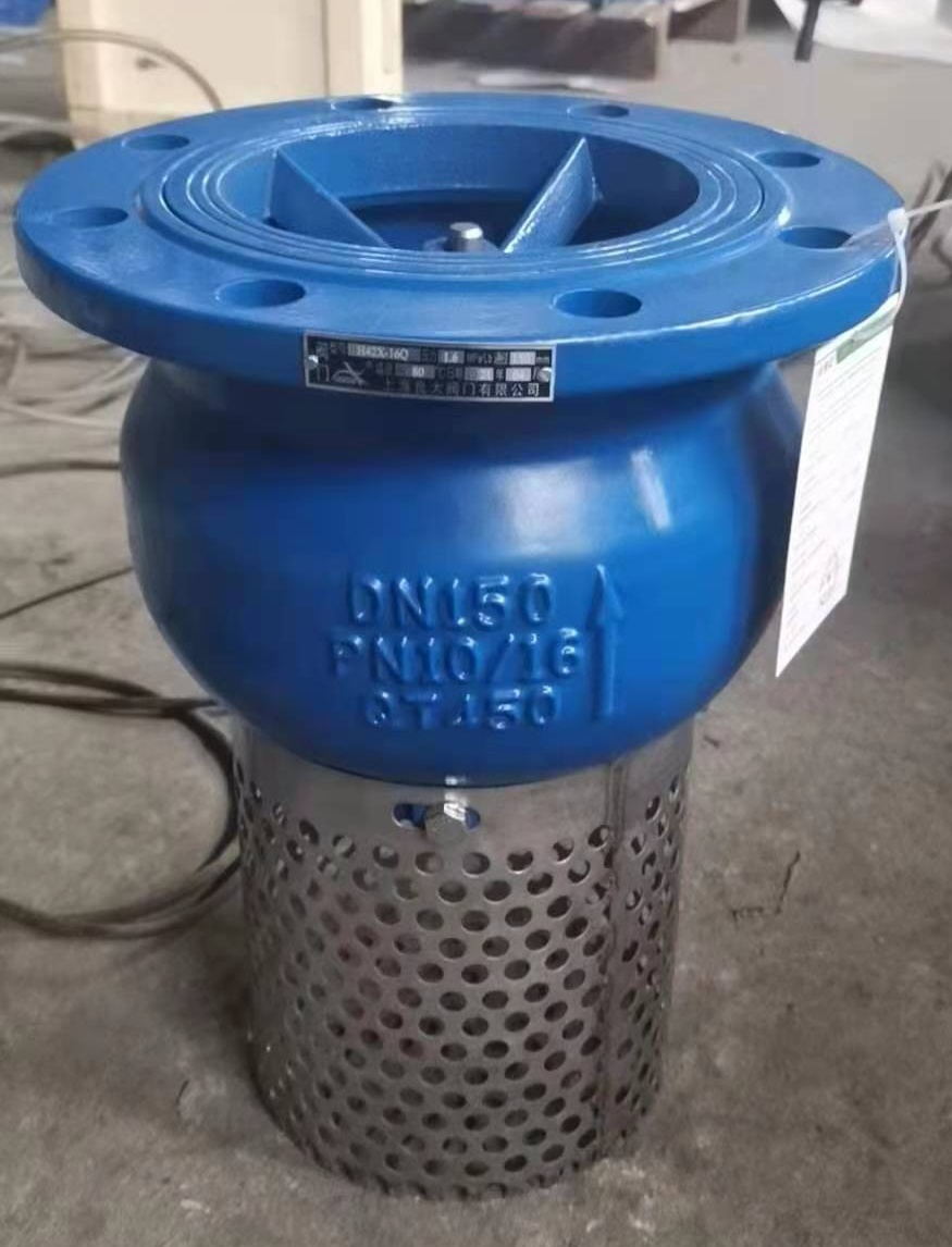 日本欧美久久久久免费播放网