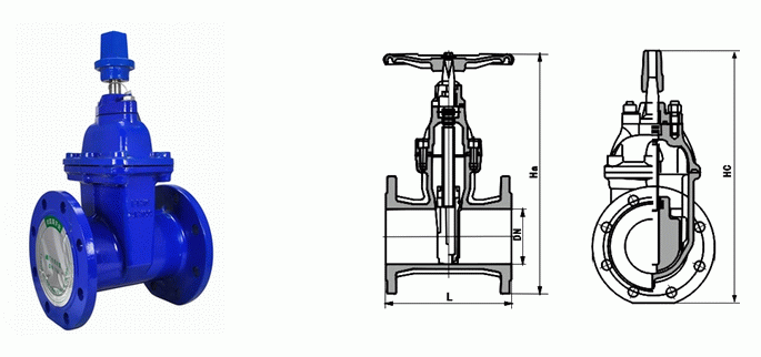 日本欧美久久久久免费播放网