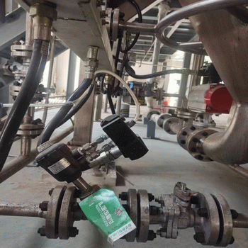 日本欧美久久久久免费播放网