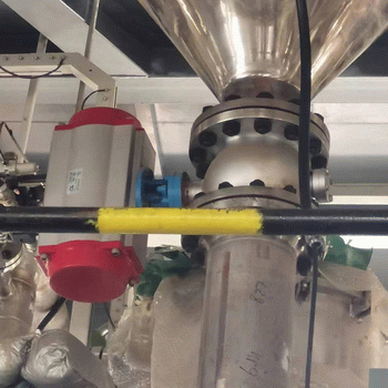 日本欧美久久久久免费播放网