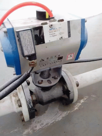 日本欧美久久久久免费播放网