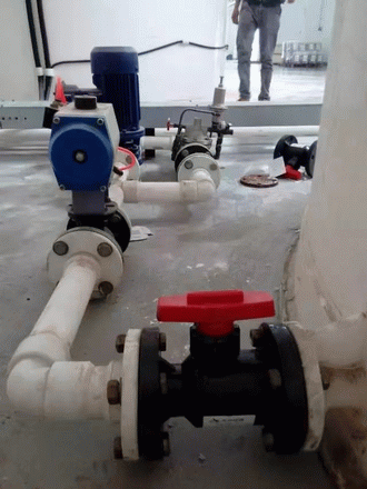 日本欧美久久久久免费播放网