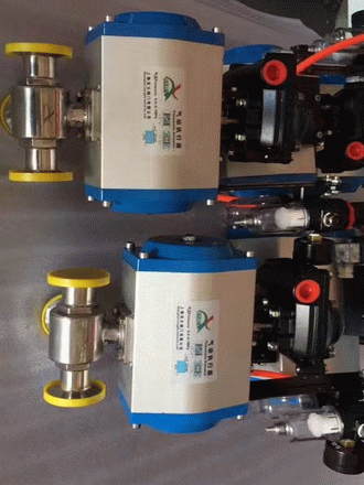 日本欧美久久久久免费播放网