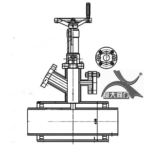 日本欧美久久久久免费播放网