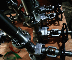 日本欧美久久久久免费播放网