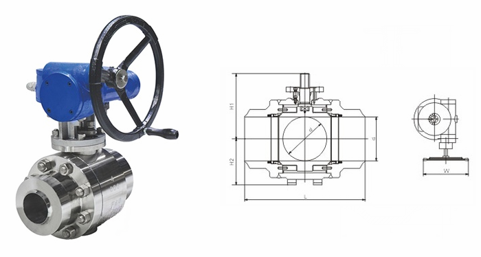 日本欧美久久久久免费播放网