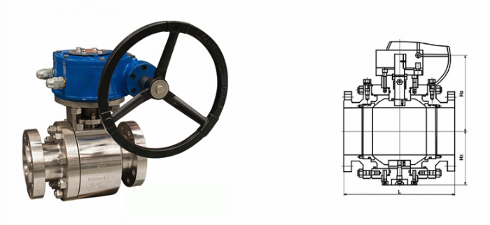 日本欧美久久久久免费播放网