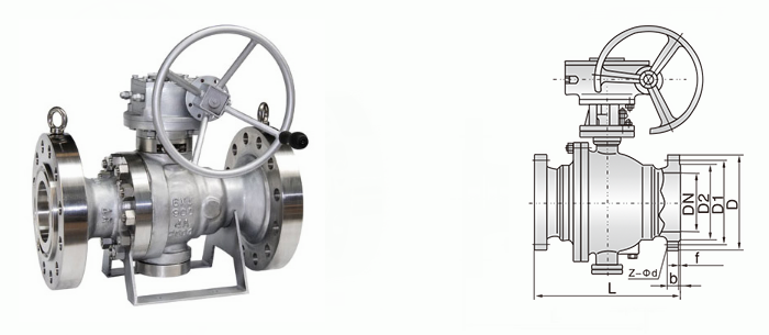 日本欧美久久久久免费播放网