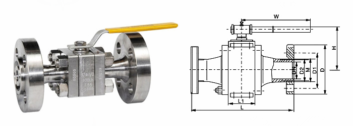 日本欧美久久久久免费播放网