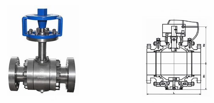 日本欧美久久久久免费播放网