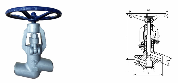 日本欧美久久久久免费播放网