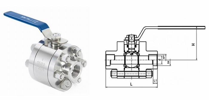 日本欧美久久久久免费播放网