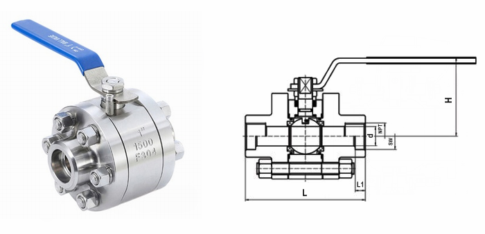 日本欧美久久久久免费播放网
