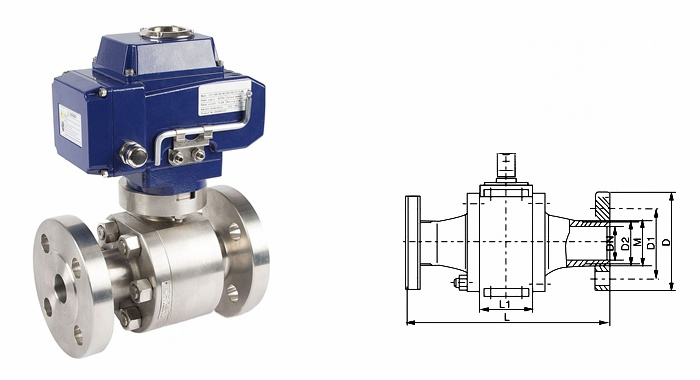 日本欧美久久久久免费播放网