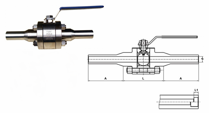 日本欧美久久久久免费播放网