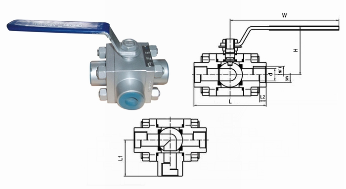 日本欧美久久久久免费播放网