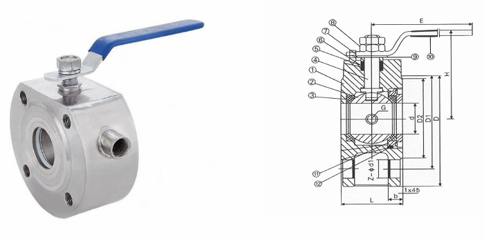 日本欧美久久久久免费播放网