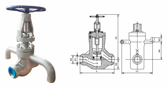 日本欧美久久久久免费播放网