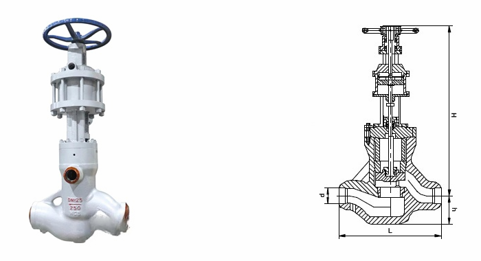 日本欧美久久久久免费播放网