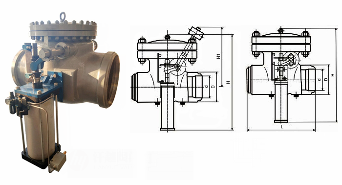 日本欧美久久久久免费播放网