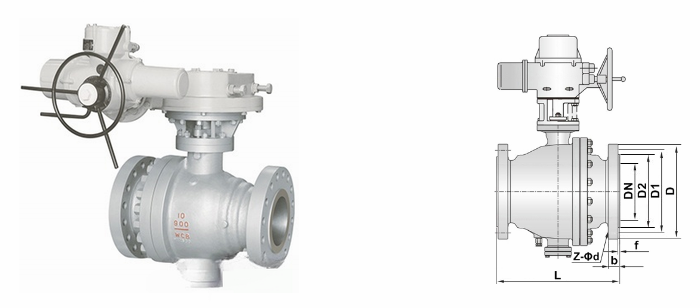 日本欧美久久久久免费播放网