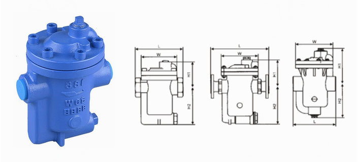 日本欧美久久久久免费播放网