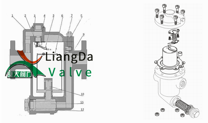 日本欧美久久久久免费播放网